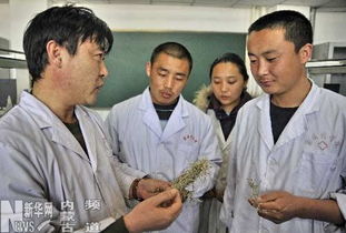 2019蒙藥學(xué)專業(yè)就業(yè)方向與就業(yè)前景如何 2019蒙藥學(xué)專業(yè)就業(yè)方向與就業(yè)前景如何