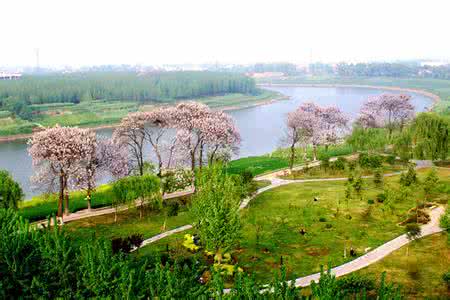 2019農(nóng)村區(qū)域發(fā)展專業(yè)就業(yè)方向與就業(yè)前景如何 2019農(nóng)村區(qū)域發(fā)展專業(yè)就業(yè)方向與就業(yè)前景如何