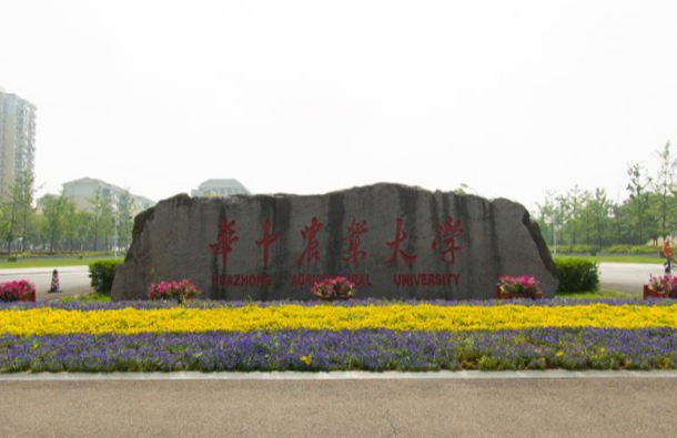 2020@ˇ(zhun)I(y)(zhun)I(y)W(xu)ƽu(png)r(ji)W(wng)+Уѕ(hu)桿