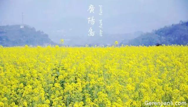 2020年重慶賞油菜花攻略 重慶最美油菜花海來襲
